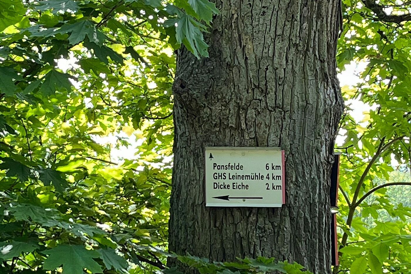 Wegweiser unterwegs