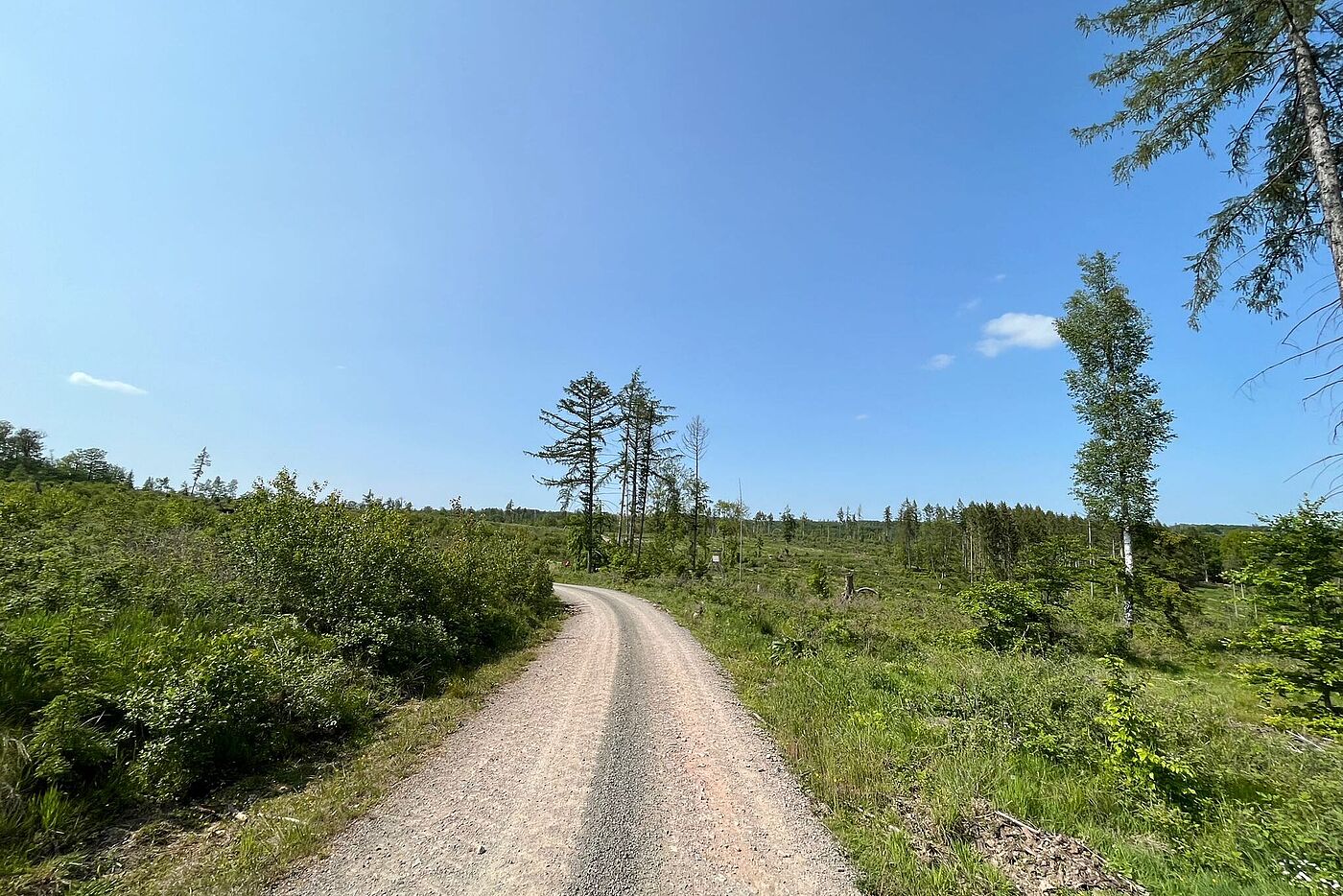 Weg von Schielo nach Harzgerode